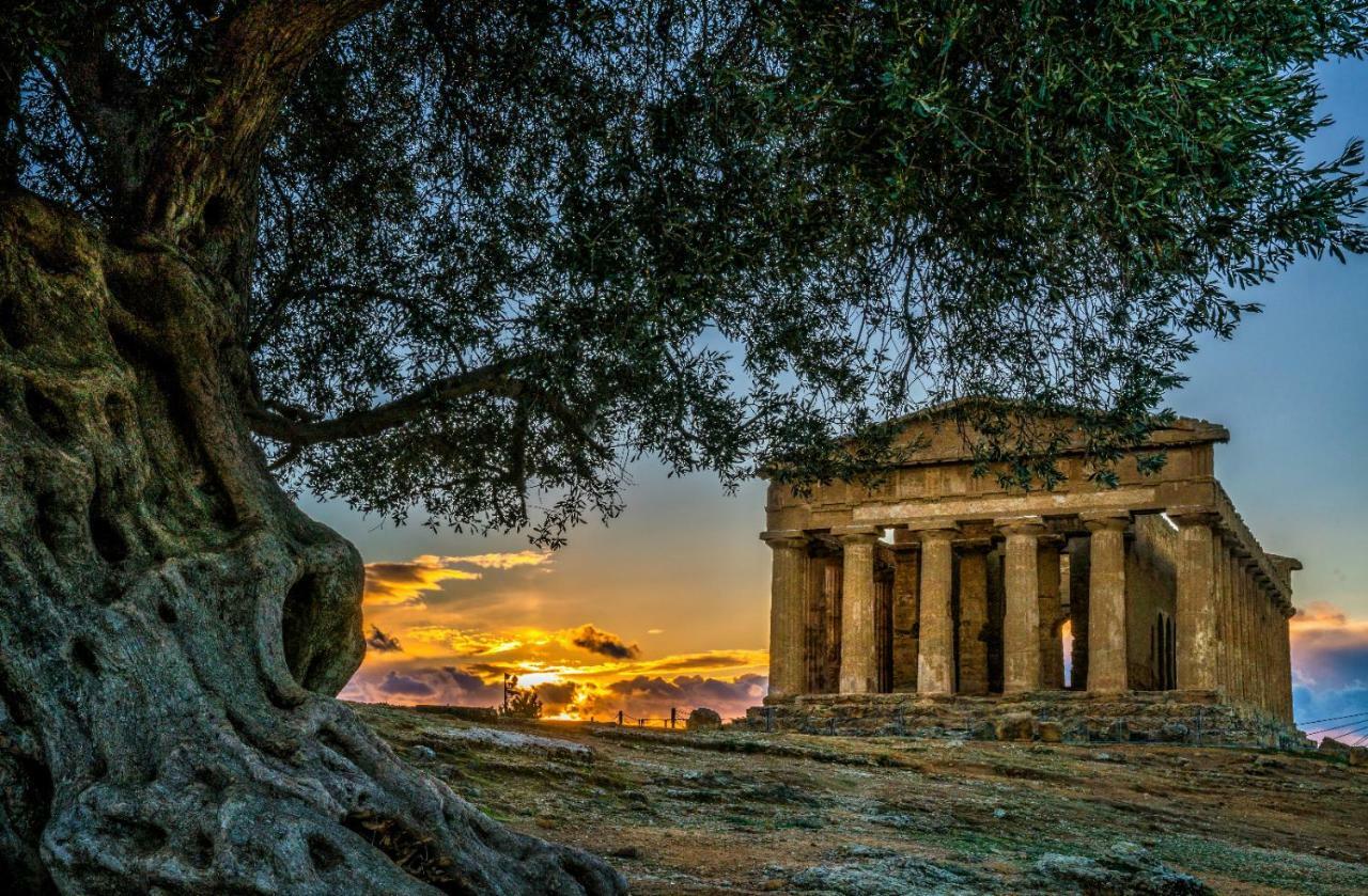 Sicilia Case Vacanze Balestrate ภายนอก รูปภาพ